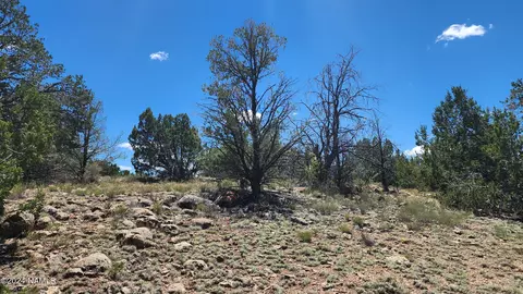 12688 Pipecreek Loop, Williams, AZ 86046 photo 24