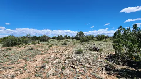 12688 Pipecreek Loop, Williams, AZ 86046 photo 9