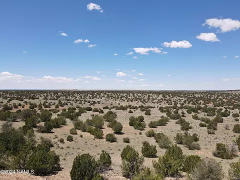 12688 Pipecreek Loop, Williams, AZ 86046 photo 31