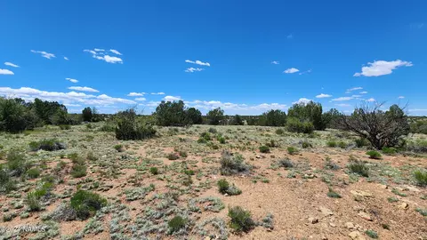 12688 Pipecreek Loop, Williams, AZ 86046 photo 8