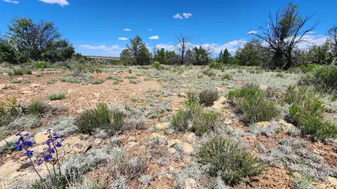 12688 Pipecreek Loop, Williams, AZ 86046 photo 10