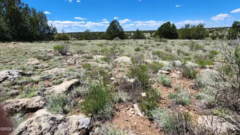12688 Pipecreek Loop, Williams, AZ 86046 photo 15
