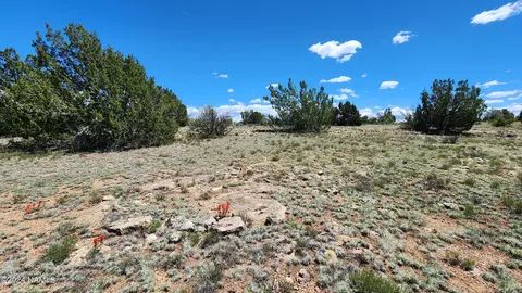 12688 Pipecreek Loop, Williams, AZ 86046 photo 13