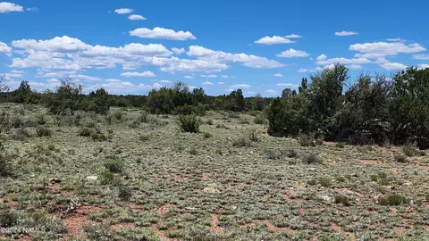 12688 Pipecreek Loop, Williams, AZ 86046 photo 3