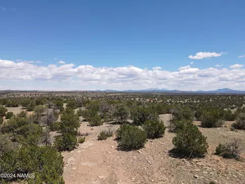 12688 Pipecreek Loop, Williams, AZ 86046 photo 37