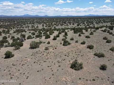 12688 Pipecreek Loop, Williams, AZ 86046 photo 43