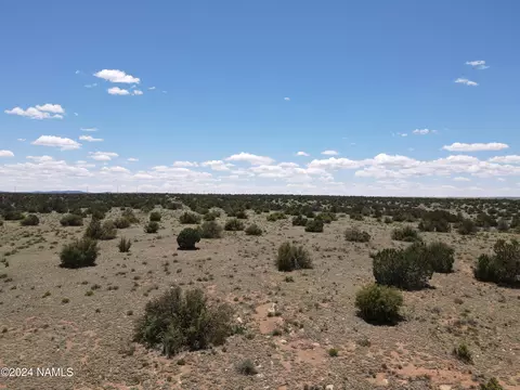12688 Pipecreek Loop, Williams, AZ 86046 photo 36