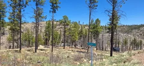 2 Moqui Dr, Happy Jack, AZ 86024