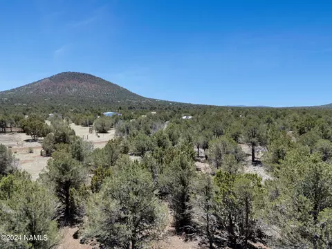 1471 E Tamarack St #201, Williams, AZ 86046