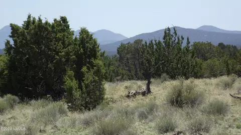 145 Mountain Cat Rd #509, Williams, AZ 86046 photo 13