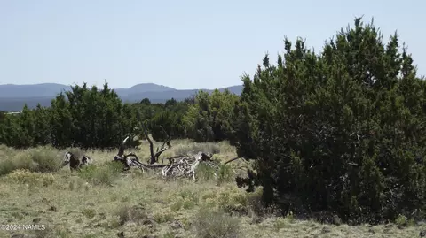 145 Mountain Cat Rd #509, Williams, AZ 86046 photo 2