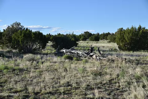 145 Mountain Cat Rd #509, Williams, AZ 86046 photo 7