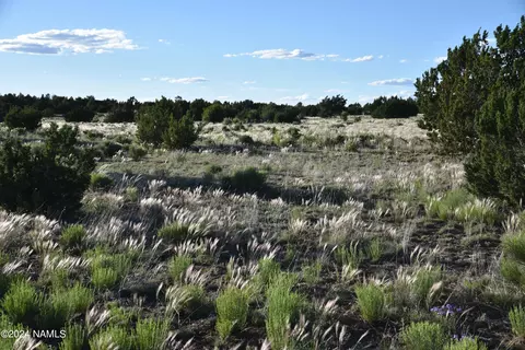 145 Mountain Cat Rd #509, Williams, AZ 86046 photo 6