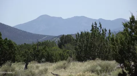 145 Mountain Cat Rd #509, Williams, AZ 86046 photo 11