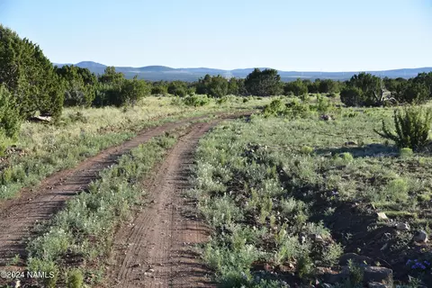 145 Mountain Cat Rd #509, Williams, AZ 86046 photo 9