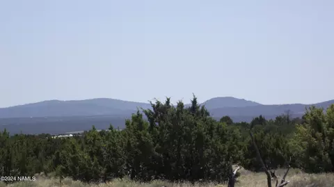 145 Mountain Cat Rd #509, Williams, AZ 86046 photo 14