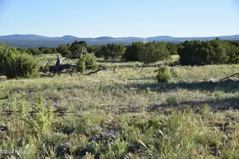 145 Mountain Cat Rd #509, Williams, AZ 86046 photo 5