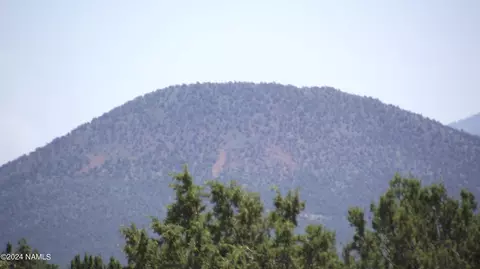 145 Mountain Cat Rd #509, Williams, AZ 86046 photo 16