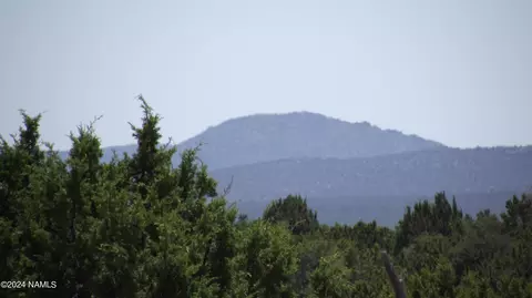 145 Mountain Cat Rd #509, Williams, AZ 86046 photo 15