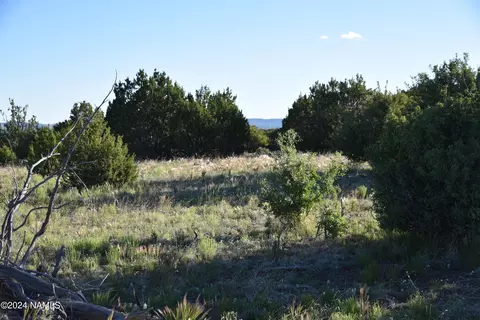 145 Mountain Cat Rd #509, Williams, AZ 86046 photo 3