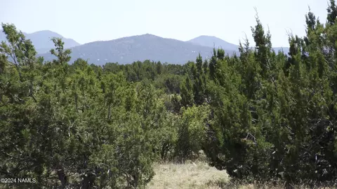 227 Mountain Cat Rd #509, Williams, AZ 86046