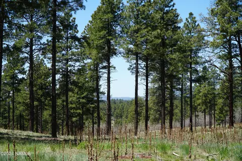 13398 E Fallow Deer Rd #28, Parks, AZ 86018