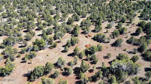 187 E Spotted Owl Ln, Williams, AZ 86046