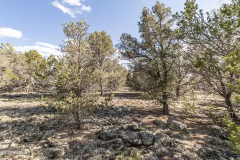 174 E Ironwood Dr #475, Williams, AZ 86046