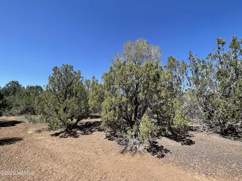1227 E Forest Service Rd 736, Williams, AZ 86046