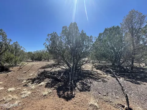 1305 E Forest Service Rd 736, Williams, AZ 86046