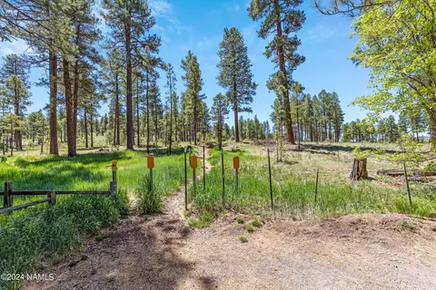 Other - 783 Celilo, Flagstaff, AZ 86005 photo 5 of 7