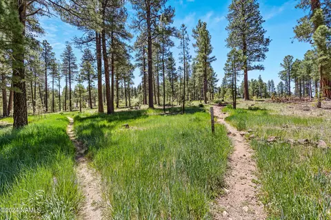 Other - 783 Celilo, Flagstaff, AZ 86005 photo 6 of 7
