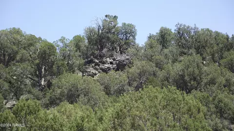 806 Sylvias Way, Ash Fork, AZ 86320 photo 3