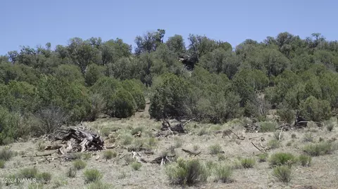 806 Sylvias Way, Ash Fork, AZ 86320 photo 12