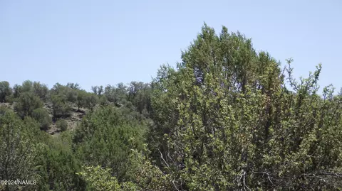 806 Sylvias Way, Ash Fork, AZ 86320 photo 7