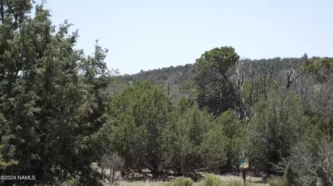 806 Sylvias Way, Ash Fork, AZ 86320 photo 11