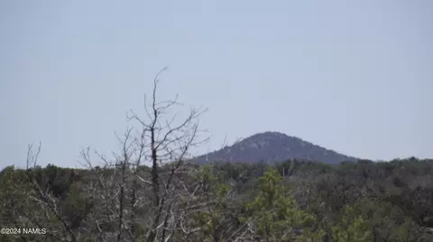 806 Sylvias Way, Ash Fork, AZ 86320 photo 9