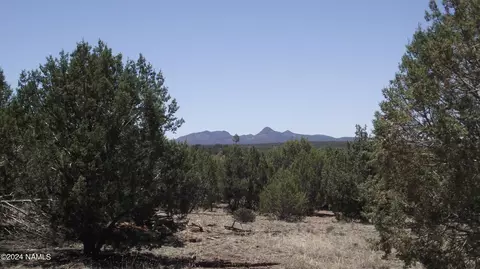 806 Sylvias Way, Ash Fork, AZ 86320 photo 23