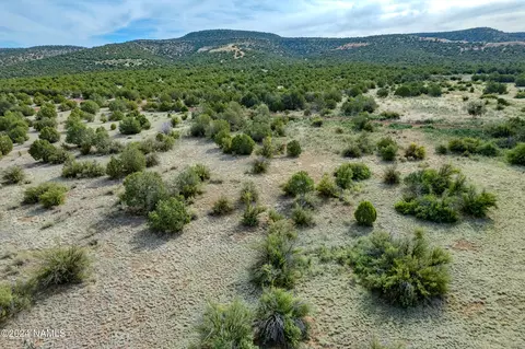 5142 N Forest Line Rd, Williams, AZ 86046