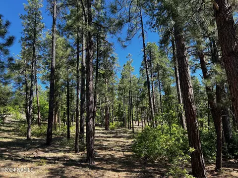 1050 Cavern Springs Dr #5, Williams, AZ 86046