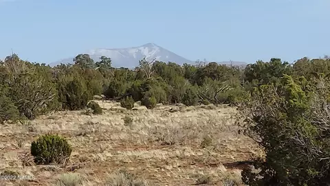 8755 Hawkeye Cir #303, Williams, AZ 86046