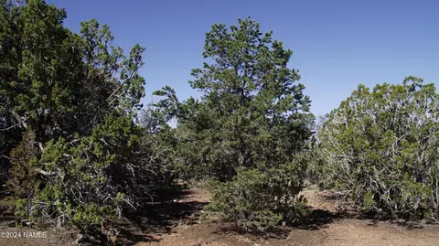 837 E Jackpine Ln #47, Williams, AZ 86046 photo 6