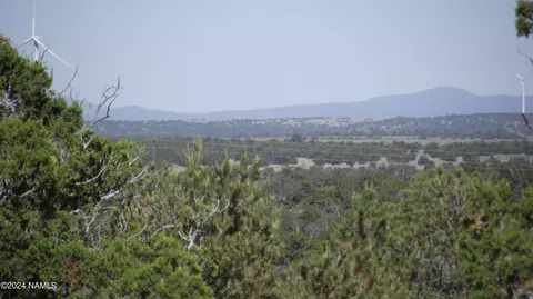 837 E Jackpine Ln #47, Williams, AZ 86046 photo 5