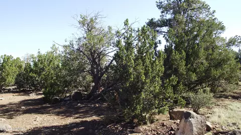 837 E Jackpine Ln #47, Williams, AZ 86046 photo 3