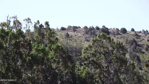 837 E Jackpine Ln #47, Williams, AZ 86046 photo 8