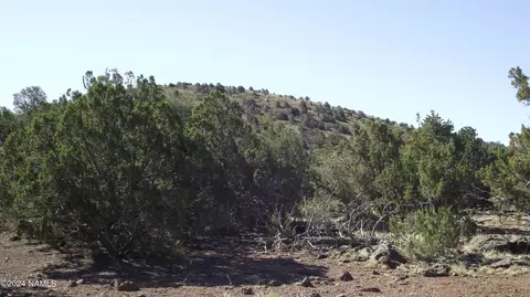 837 E Jackpine Ln #47, Williams, AZ 86046 photo 9