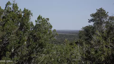 837 E Jackpine Ln #47, Williams, AZ 86046 photo 7