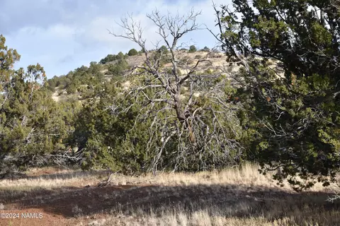 847 E Little Horse Rd #131, Williams, AZ 86046