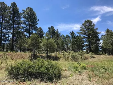 161 S Ansley Ln, Parks, AZ 86018