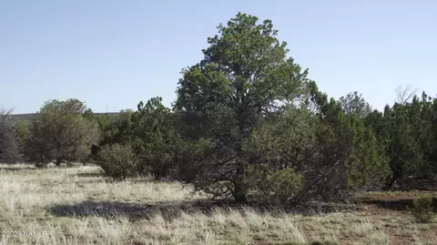1303 E Antler Ln #546, Williams, AZ 86046